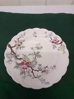 Buy Vintage Booths Chinese Tree (A8001) Salad/Side Plate 19cm Dia. Sold Individually • 5£