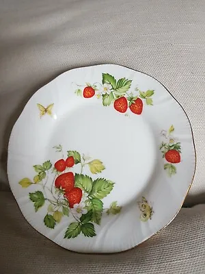 Buy Mint Cond Queen's Rosina Bone China Virginia Strawberry 6.5  Side Plate - CJD • 11.95£