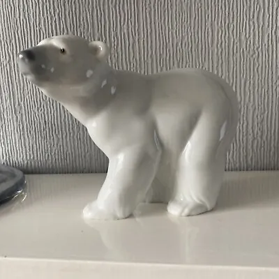 Buy Lladro Polar Bear • 20£