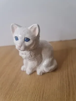 Buy John Beswick The Adorables RSPCA Kitten White • 19.99£