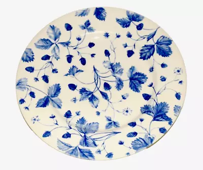Buy Royal Stafford Set Of 4 Blue Alpine Strawberry 11 Inch Dinner Plates • 28.22£