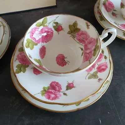Buy Foley Bone China Century Rose Tea Cup, Saucer, Side Plate 1950 Made In England  • 29£
