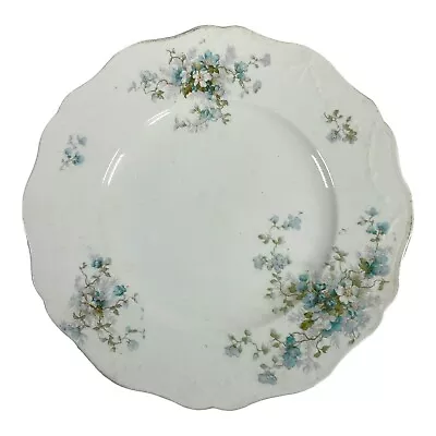 Buy Antique John Haddock & Sons Royal Vitreous Salad 9” Plate Blue Floral Victorian • 15.48£