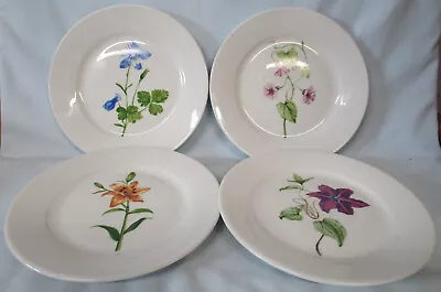 Buy Martha Stewart Skylands Botanic Salad Plate Set Of 4 Different • 34.83£