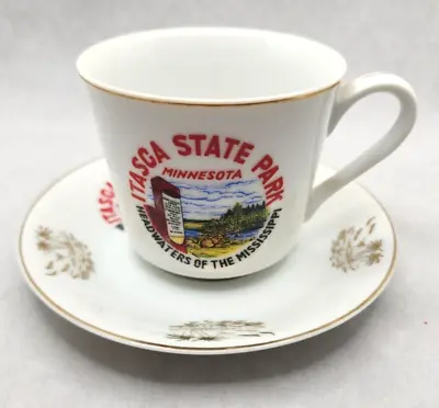 Buy 1970's Itasca State Park Mississippi Headwaters Souvenir Coffee Cup W/ Saucer MS • 16.12£