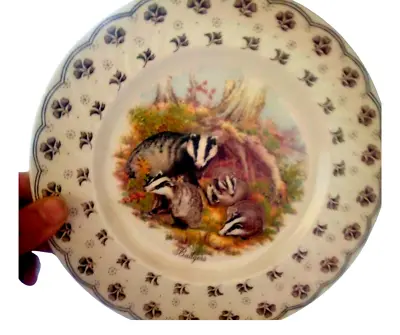 Buy Vtg Plate Barratts Staffordshire England Very Rare Pieces For Badgers Picture • 15.12£