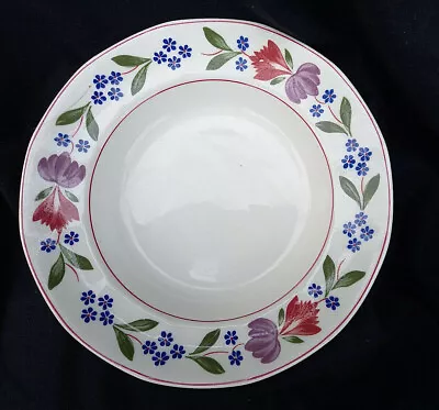 Buy Adams OLD COLONIAL  Rimmed Soup Plate. Diameter 7¾ Inches.  19.5 Cms. • 15.50£