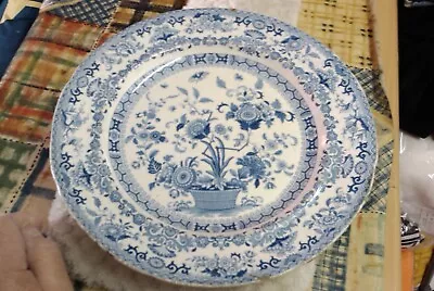Buy Dresden Sprays  Vintage Pottery Dinner Plate. 10 . • 9.99£