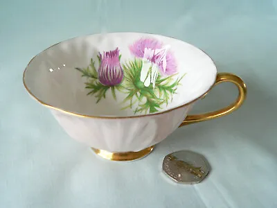 Buy Vintage SHELLEY Fine Bone China Pink Oleander Footed Cabinet Cup Thistle Flowers • 11.50£