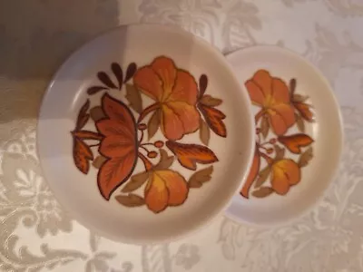 Buy Royal Worcester  Palissy  Decorative Plates, Brown/green Floral X2 • 4.50£