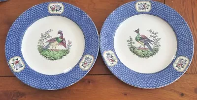 Buy Spode Bird Pheasant Print Blue White Dinner Plates X2 Copeland Antique  • 0.99£