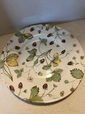 Buy Royal Stafford Fine Earthenware  Strawberry Plate • 3.33£