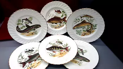 Buy Vintage English Royal Imperial Finest Bone China 6 Plates Fish Pattern Tableware • 29£