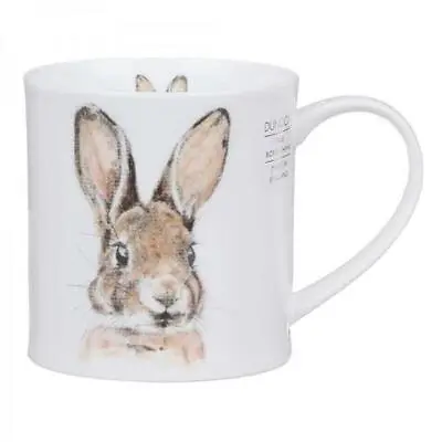Buy Lovely Dunoon Little Leveret Bunny Fine Bone China Mug Orkney Shape Design • 23.50£