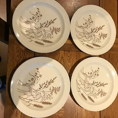 Buy Windswept J & G Meakin Pottery - 4 Dinner Plates  - England 1970`s - Lot A • 20£