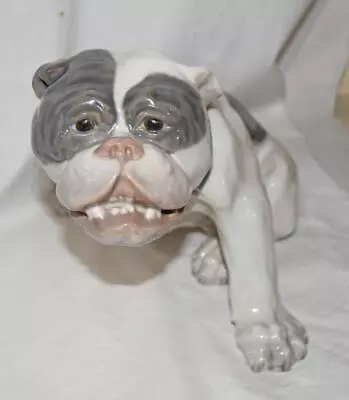 Buy Royal Copenhagen Denmark Sitting English Bulldog Dog Figurine 1452/801 Knud Kyhn • 1,438.56£