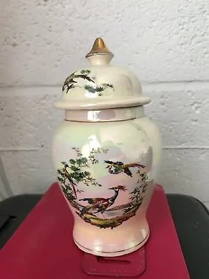 Buy SADLER ENGLAND Exotic Peacock? Bird Ginger Jar Pot Beautiful Rare Iridescent VGC • 6.49£