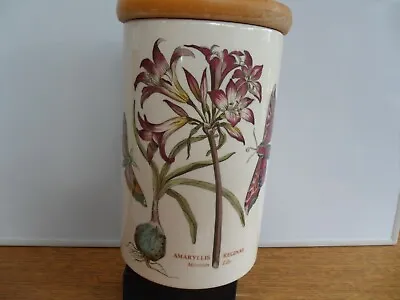 Buy Portmeiron Botanic Garden  Amaryllis Reginae  Jar 8 1/2 Inch/21cm High Free P&P • 22.50£
