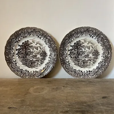 Buy Two Country Style W H Grindley & Co Ltd Brown Large Plate. 10” • 8.90£