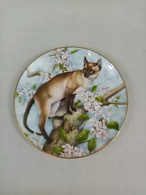 Buy Royal Stafford Collector Plate Cat Siamese & Apple Blossom Bone China • 5£