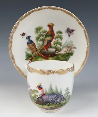 Buy Antique KPM Berlin Cup & Saucer Birds Insects Gold 19th C. German Porcelain #B • 307.88£
