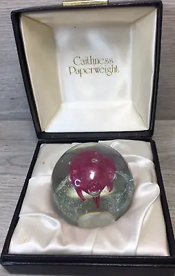 Buy Rare Caithness Paperweight -VORTEX  Designed By Colin Terris  Ltd. Edition 1000 • 32£
