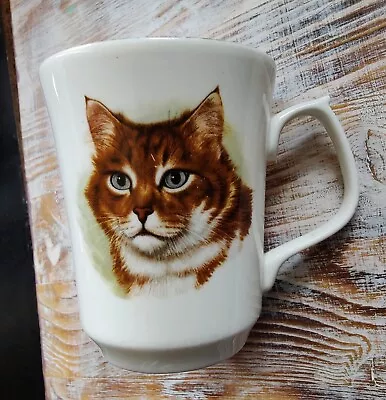 Buy Vintage Ginger Cat Coffee Mug Tea Cup/Jason/Fine Bone China Made In England  • 7.50£