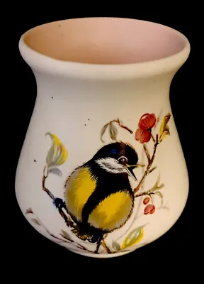 Buy PRETTY “GREAT TIT “ HAND PAINTED VASE  By Axe Vale Pottery Devon England 🌸 • 1.99£
