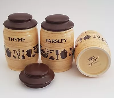 Buy Collectable 1960 70s Sylvac Cordon Brun Parsley Sage And Thyme Herb Pots • 8£