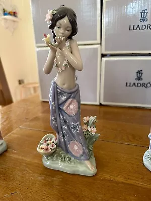 Buy Lladro Figurine - Aroma Of The Islands - 01480 • 50£
