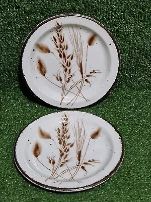 Buy Midwinter Stonehenge 7  Side Plates X2 Wild Oats Pattern In Excellent Condition  • 12.99£