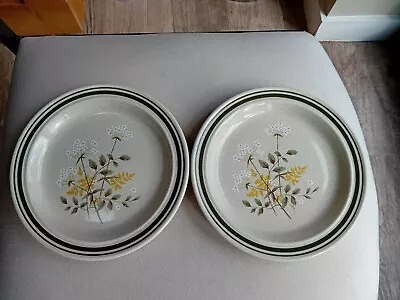 Buy Royal Doulton Lambethware Set Of 2 Side Plates Will O'the Wisp - Never Used • 4.95£