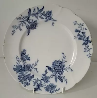Buy Antique C.1890 Doulton Burslem DEVON SPRAY Blue Floral Cabinet Plate 9.5  • 19.95£