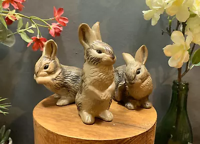 Buy Vintage Poole Pottery Stoneware Wildlife Animal Three  Bunnies Bunny Rabbit • 24.55£