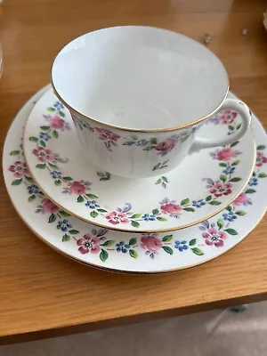 Buy Shelley Chatsworth 11065 Rose 1910's Antique Tea Trio / Cup Saucer Plate Set VGC • 10£