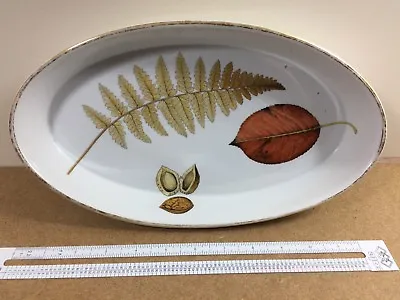 Buy Royal Worcester Wild Harvest Oval Oven To Table Serving Dish  • 11£
