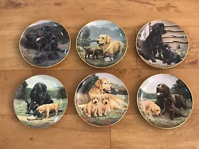 Buy Franklin Mint Set Of Six Limited Edition Collectible Labrador And Puppy Plates • 9.99£