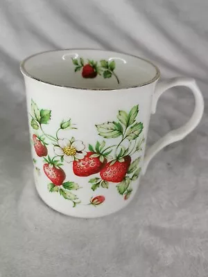 Buy Sadler Strawberry Pattern White Coffee Mug Fine Bone China Vintage British  • 10£