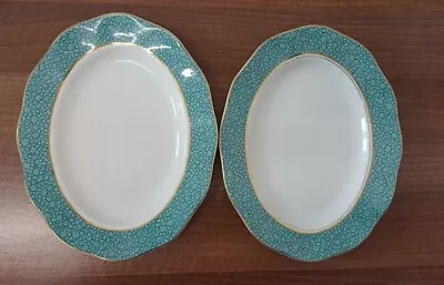 Buy Two Enoch Wedgwood  Garden  Oval Plates  • 20£