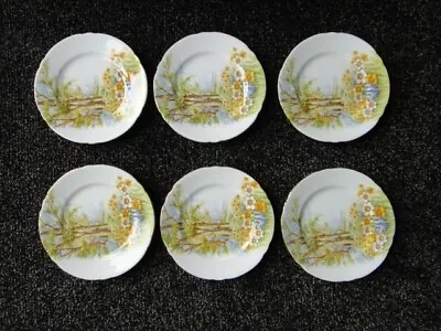 Buy Shelley - Fine Bone China, Daffodil Time 13370, 6 X Bread And Butter Plates • 64.99£