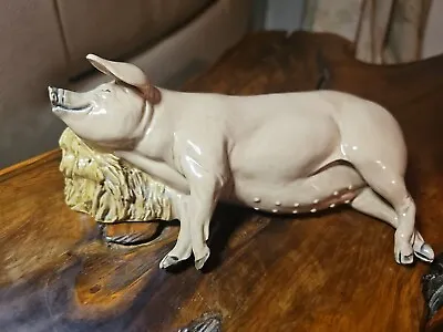 Buy The Charm Of Creamware Vintage Porcelain Pig In Excellent Condition, No Damage. • 10£