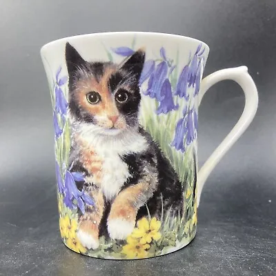 Buy Vintage Queen’s Regal Heritage Cat & Kitten In Garden Bone China Mug England • 19.90£