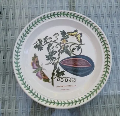Buy Vintage Portmeirion 1972  Botanic Garden Water Melon Small Plate 8.5ins • 5.50£