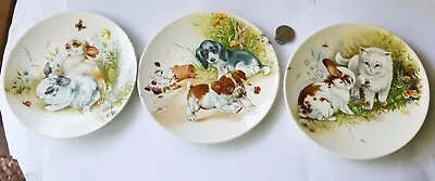 Buy 3 Poole Pottery 6  “Transfer Plates” - Puppies Playing, Rabbits, Cat & Rabbit • 9.99£