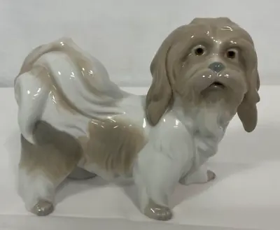 Buy Vintage Lladro Glazed Porcelain Lhasa Apso Dog Figurine • 55£