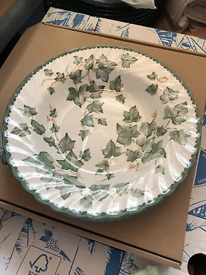Buy 2x COUNTRY VINE BHS 9  RIMMED PASTA SOUP DESSERT BOWL DISH DISHES BOWLS • 12.99£
