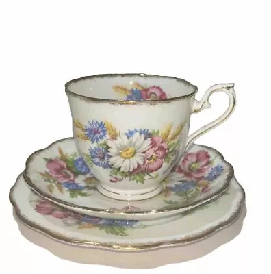 Buy Vintage Royal Albert Fine Bone China Footed Cup & Saucer Set Harvest Bouquet • 45.11£