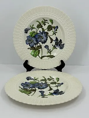 Buy Antique Cauldon England 2476 China Botanical 9.75” Plates (Set Of 2) EUC • 42.68£