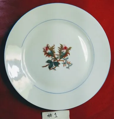 Buy Vintage HAVILAND & Co Limoges Hand-Painted Fine China Bread/Salad Plates 7.25  • 18.94£