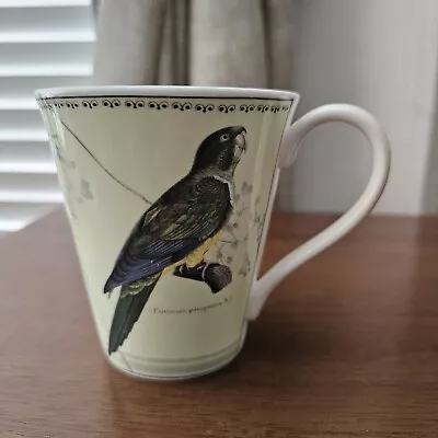 Buy Aynsley Ornithological Studies Mug Parrot  Fine Bone China Science And Society  • 12.95£